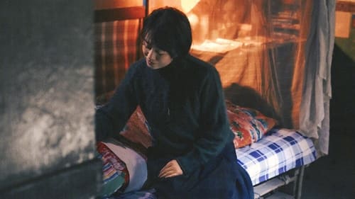 抓娃娃 (2024)  已完成订阅