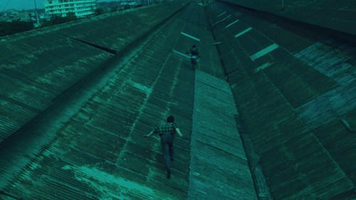 阿飞正传 (1990)  已入库评分