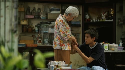 姥姥的外孙 (2024)  已完成订阅