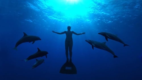 海豚湾 (2009)  已完成订阅