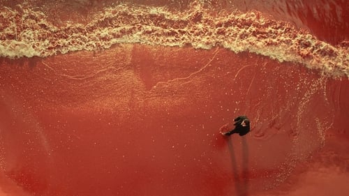 解密 (2024)  已完成订阅