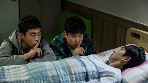 伟大的愿望 (2016)  已入库评分