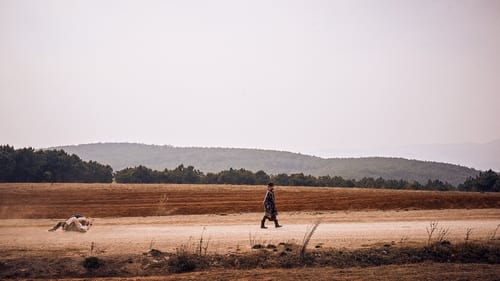 浴火之路 (2024)  已入库评分