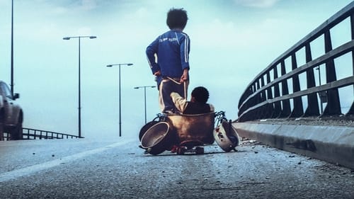 何以为家 (2018)  已入库评分